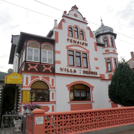Pension Villa Broedel Bad Blankenburg Eksteriør bilde